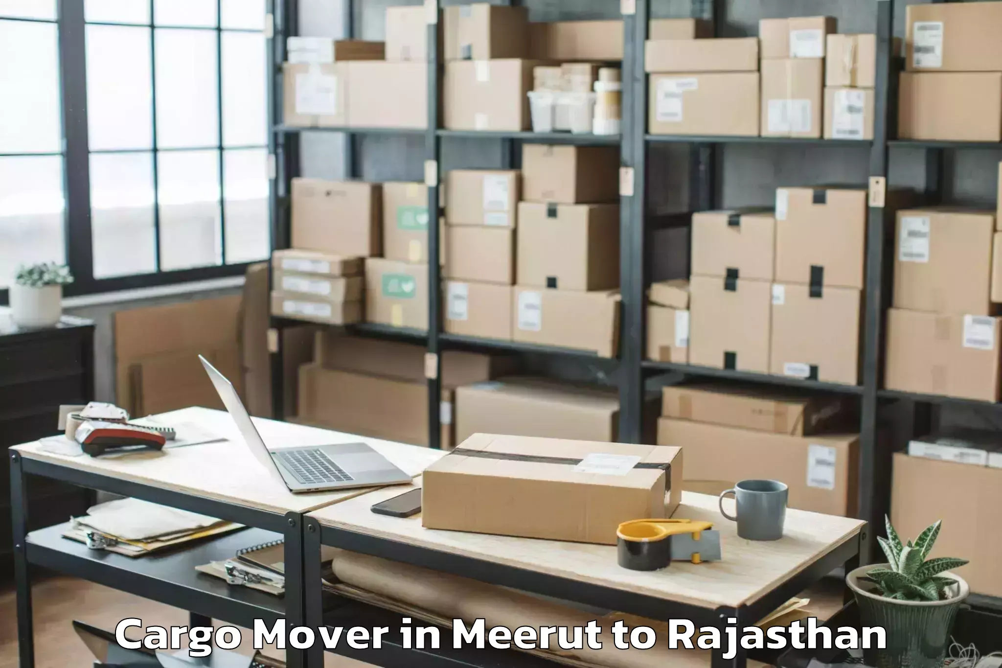 Leading Meerut to Nohra Cargo Mover Provider